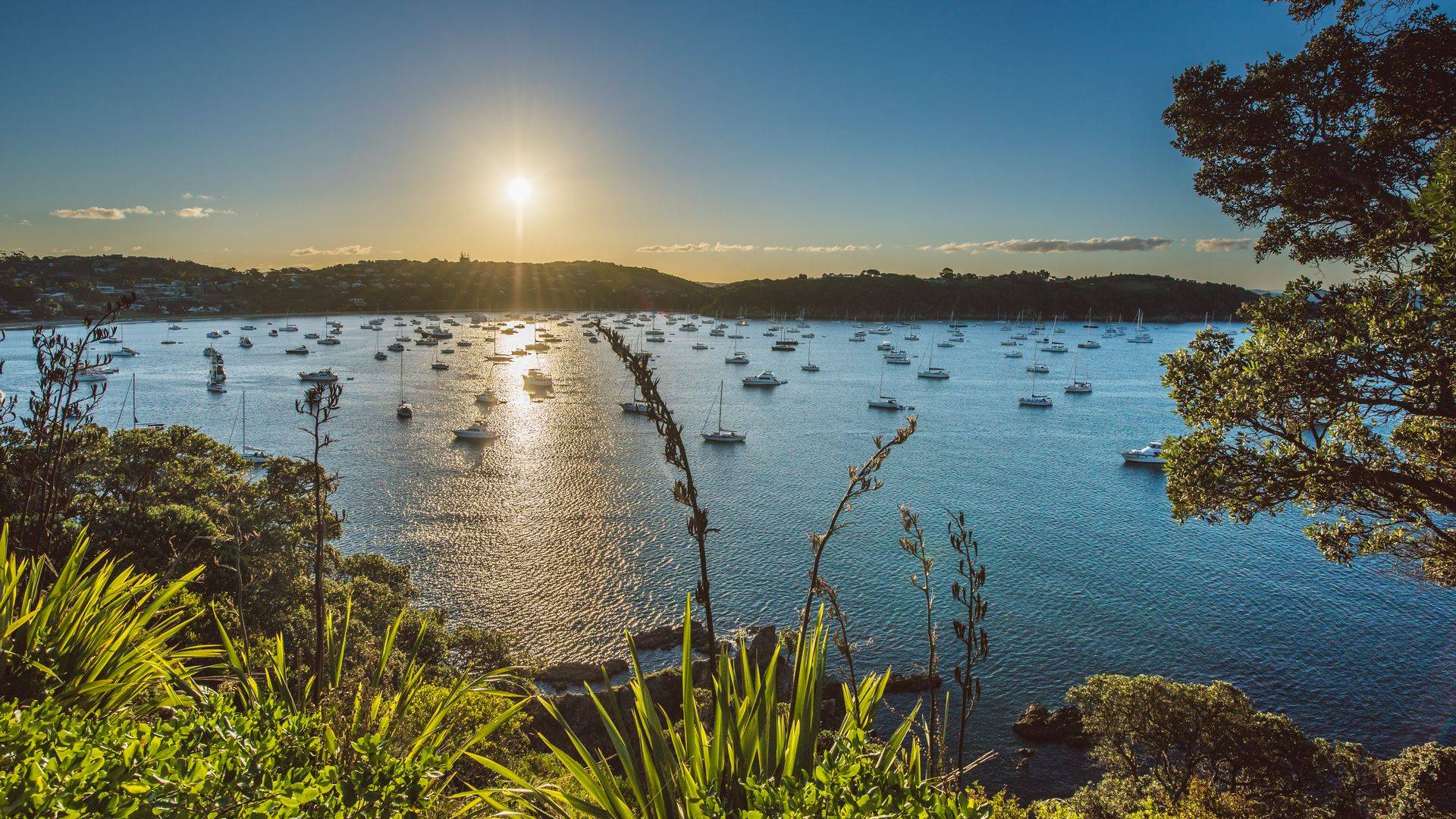 Waiheke Island | Two Day Tour Packages | Ananda Tours | Wine Tours